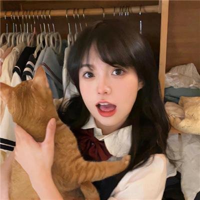 硬胶特警