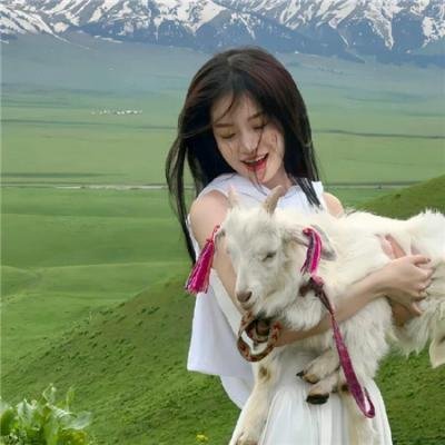 孤星血泪